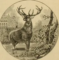An illustration from The wheel (1880)