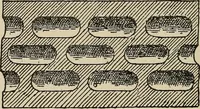 An illustration from Wheels and wheeling; an indispensable handbook for cyclists, with over two hundred illustrations (1892)