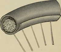 An illustration from Wheels and wheeling; an indispensable handbook for cyclists, with over two hundred illustrations (1892)