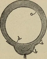 An illustration from Wheels and wheeling; an indispensable handbook for cyclists, with over two hundred illustrations (1892)