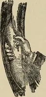 An illustration from Wheels and wheeling; an indispensable handbook for cyclists, with over two hundred illustrations (1892)