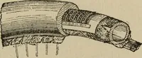 An illustration from Wheels and wheeling; an indispensable handbook for cyclists, with over two hundred illustrations (1892)
