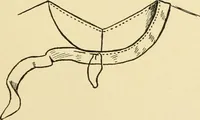 An illustration from When mother lets us sew (1910)