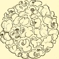 An illustration from When mother lets us give a party; a book that tells little folk how best to entertain and amuse their little friends (1909)