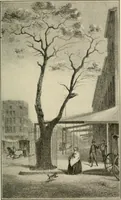 Picture 50 of 93 from When old New York was young (1902), leaf 188