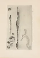 An illustration from The Whistler book : a monograph of the life and position in art of James McNeill Whistler, together with a careful study of his more important works (1910)