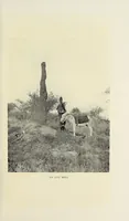 Picture 3 of 7 from A white king in East Africa : the remarkable adventures of John Boyes, trader and soldier of fortune, who became king of the savage Wa-Kikuyu (1912), leaf 85