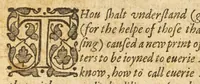 An illustration from The whole booke of Psalmes, collected into English meetre (1597)
