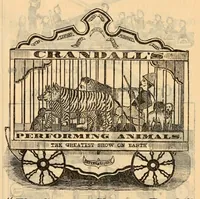 Picture 5 of 14 from Wholesale catalogue & price list, 1879-80. (1879), leaf 21