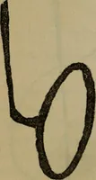 An illustration from The widow's mite and other psychic phenomena (1904)