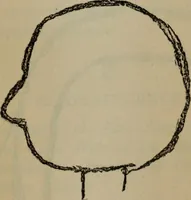 An illustration from The widow's mite and other psychic phenomena (1904)