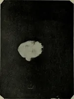 An illustration from The widow's mite and other psychic phenomena (1904)