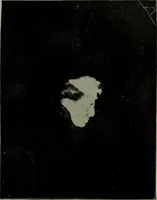 An illustration from The widow's mite and other psychic phenomena (1904)