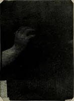 An illustration from The widow's mite and other psychic phenomena (1904)