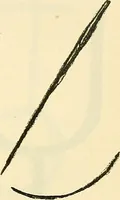 An illustration from The widow's mite and other psychic phenomena (1904)