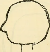 Picture 24 of 35 from The widow's mite and other psychic phenomena (1904), leaf 328