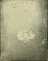 Picture 30 of 35 from The widow's mite and other psychic phenomena (1904), leaf 478