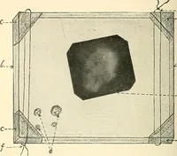 Picture 32 of 35 from The widow's mite and other psychic phenomena (1904), leaf 483