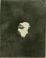 Picture 35 of 35 from The widow's mite and other psychic phenomena (1904), leaf 488