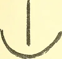 Picture 1 of 34 from The widow's mite and other psychic phenomena (1911), leaf 318