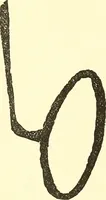 Picture 6 of 34 from The widow's mite and other psychic phenomena (1911), leaf 319