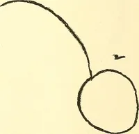 Picture 7 of 34 from The widow's mite and other psychic phenomena (1911), leaf 319