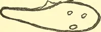 Picture 10 of 34 from The widow's mite and other psychic phenomena (1911), leaf 320