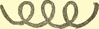 Picture 14 of 34 from The widow's mite and other psychic phenomena (1911), leaf 322