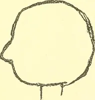 Picture 24 of 34 from The widow's mite and other psychic phenomena (1911), leaf 326
