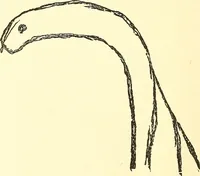 Picture 26 of 34 from The widow's mite and other psychic phenomena (1911), leaf 327