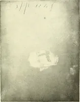 Picture 29 of 34 from The widow's mite and other psychic phenomena (1911), leaf 476