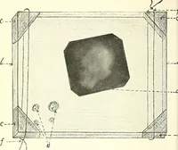 Picture 31 of 34 from The widow's mite and other psychic phenomena (1911), leaf 481