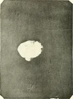 Picture 33 of 34 from The widow's mite and other psychic phenomena (1911), leaf 485