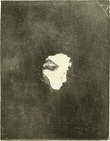 Picture 34 of 34 from The widow's mite and other psychic phenomena (1911), leaf 486