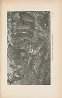 An illustration from Wild beasts and their ways : reminiscences of Europe, Asia, Africa and America (1890)
