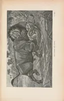 An illustration from Wild beasts and their ways : reminiscences of Europe, Asia, Africa and America (1890)