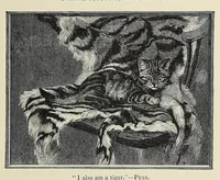 Picture 1 of 6 from Wild beasts and their ways : reminiscences of Europe, Asia, Africa, and America (1890), leaf 11