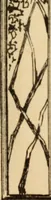 An illustration from Wildwood homes : being a collection of houses and details with suggestions for the home builder (1912)