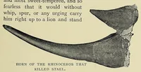 Picture 5 of 6 from William Cotton Oswell, hunter and explorer : the story of his life with certain correspondance and extracts from the private journal of David Livingstone, hitherto unpublished (1900), leaf 177