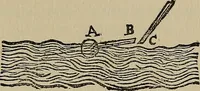 An illustration from William Gilbert of Colchester, physician of London, On the loadstone and magnetic bodies and on the great magnet the earth. A new physiology, demonstrated with many arguments and experiments .. (1893)