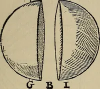 Picture 15 of 98 from William Gilbert of Colchester, physician of London, On the loadstone and magnetic bodies and on the great magnet the earth. A new physiology, demonstrated with many arguments and experiments .. (1893), leaf 174