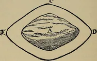An illustration from William Gilbert of Colchester, physician of London, On the loadstone and magnetic bodies and on the great magnet the earth. A new physiology, demonstrated with many arguments and experiments .. (1893)