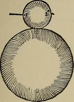 An illustration from William Gilbert of Colchester, physician of London, On the loadstone and magnetic bodies and on the great magnet the earth. A new physiology, demonstrated with many arguments and experiments .. (1893)