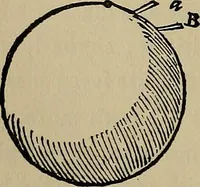 An illustration from William Gilbert of Colchester, physician of London, On the loadstone and magnetic bodies and on the great magnet the earth. A new physiology, demonstrated with many arguments and experiments .. (1893)