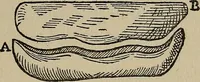 An illustration from William Gilbert of Colchester, physician of London, On the loadstone and magnetic bodies and on the great magnet the earth. A new physiology, demonstrated with many arguments and experiments .. (1893)