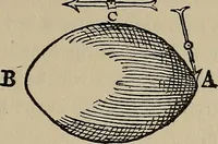 An illustration from William Gilbert of Colchester, physician of London, On the loadstone and magnetic bodies and on the great magnet the earth. A new physiology, demonstrated with many arguments and experiments .. (1893)