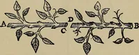 Picture 43 of 98 from William Gilbert of Colchester, physician of London, On the loadstone and magnetic bodies and on the great magnet the earth. A new physiology, demonstrated with many arguments and experiments .. (1893), leaf 256