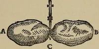 An illustration from William Gilbert of Colchester, physician of London, On the loadstone and magnetic bodies and on the great magnet the earth. A new physiology, demonstrated with many arguments and experiments .. (1893)