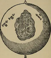 An illustration from William Gilbert of Colchester, physician of London, On the loadstone and magnetic bodies and on the great magnet the earth. A new physiology, demonstrated with many arguments and experiments .. (1893)
