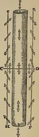 An illustration from William Gilbert of Colchester, physician of London, On the loadstone and magnetic bodies and on the great magnet the earth. A new physiology, demonstrated with many arguments and experiments .. (1893)